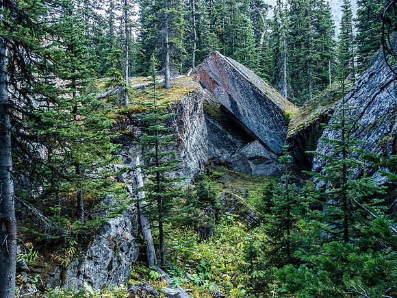 Interesting rock formations in the forest above the tarn.