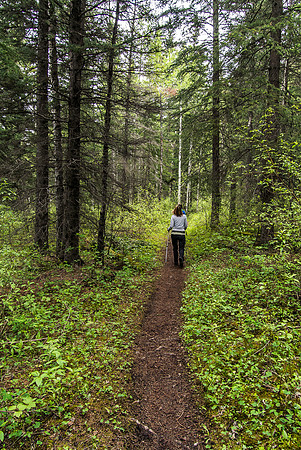 A nice hike before we get to the Quaite Valley trail.