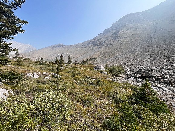 Hiking alpine meadows south of Puma Peak.