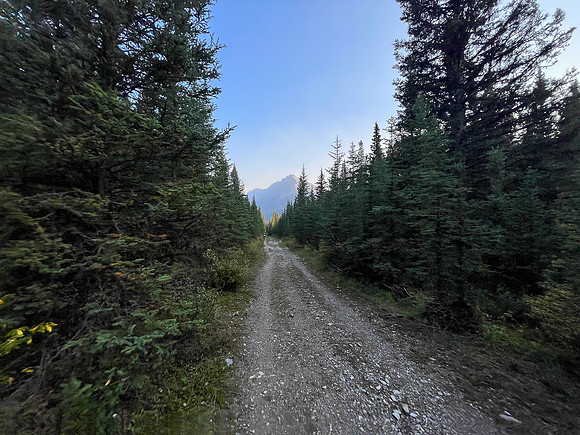 Biking back to Lake Minnewanka on the old Cascade fire road.