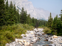 Hiking up the north branch of Stoney Creek.