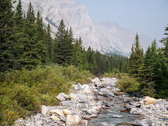 Hiking up the north branch of Stoney Creek.