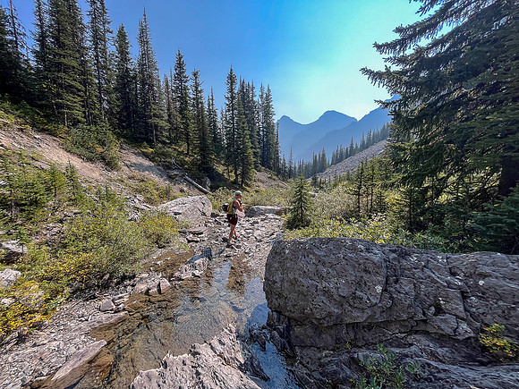 Hiking back out of the NE branch of the north branch of Stoney Creek.