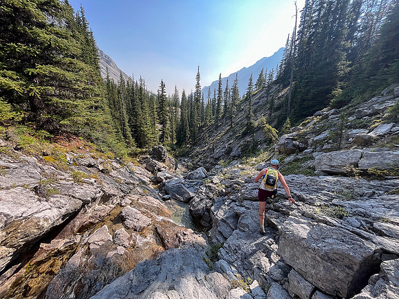 Hiking back out of the NE branch of the north branch of Stoney Creek.