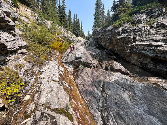 Hiking up the NE branch of the north branch of Stoney Creek.