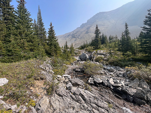 Hiking up the NE branch of the north branch of Stoney Creek.