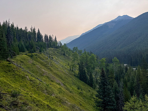 Hiking the Dormer Pass trail up Stoney Creek.