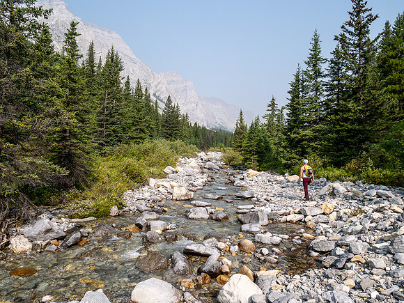 Hiking up the north branch of Stoney Creek.