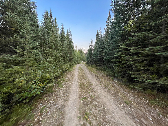 Biking back to Lake Minnewanka on the old Cascade fire road.