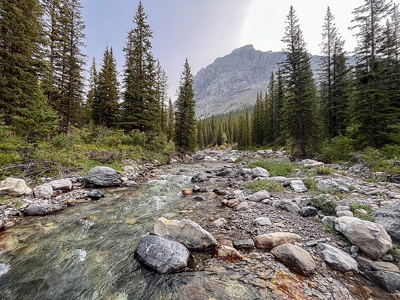 Hiking the Dormer Pass trail up Stoney Creek.