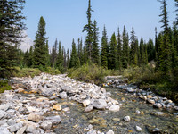 Hiking up the NE branch of the north branch of Stoney Creek.