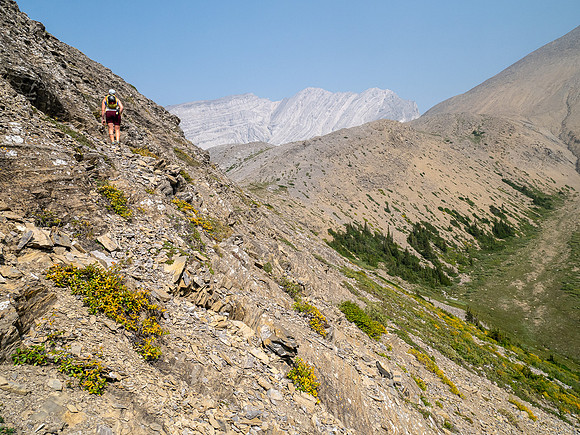 Hiking alpine meadows south of Puma Peak.