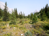 Hiking up the north branch of Stoney Creek.