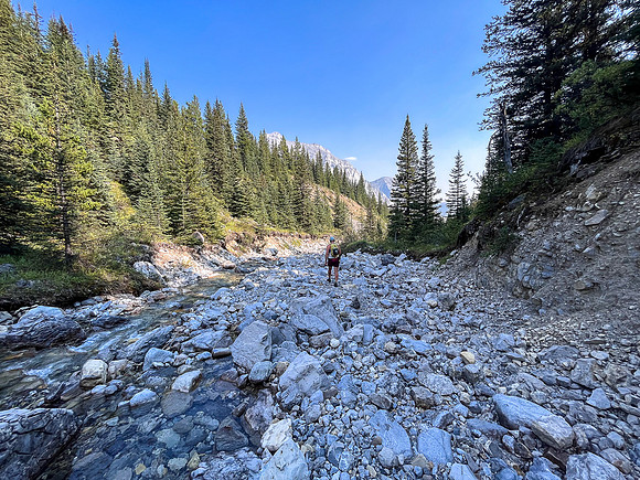 Hiking back out of the north branch of Stoney Creek.