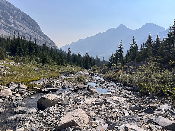 Hiking back out of the NE branch of the north branch of Stoney Creek.