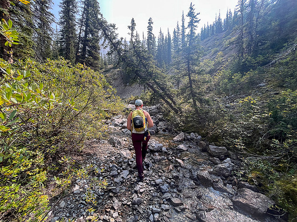 Hiking up the NE branch of the north branch of Stoney Creek.
