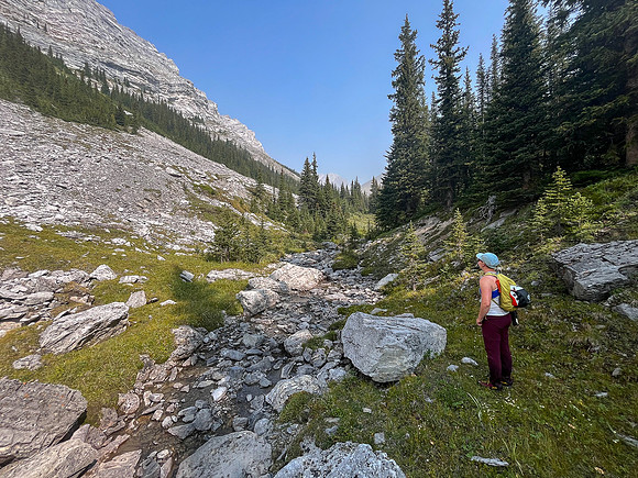 Hiking up the NE branch of the north branch of Stoney Creek.