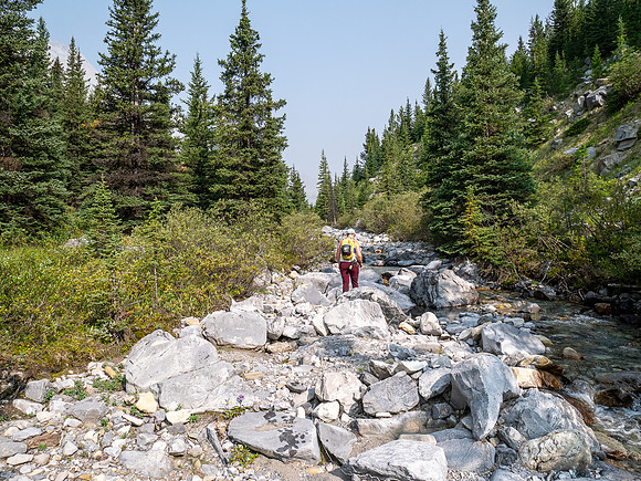 Hiking up the north branch of Stoney Creek.