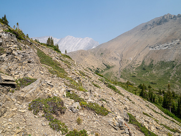 Hiking alpine meadows south of Puma Peak.