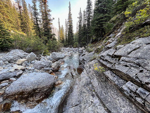 Hiking back out of the north branch of Stoney Creek.