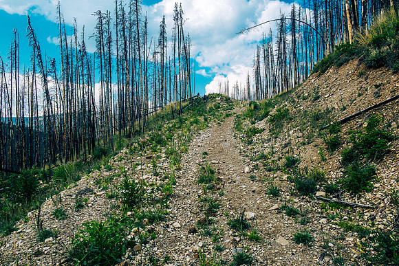 Biking back along the Skeleton Creek Trail.