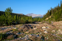 Hiking the Forbidden Creek Trail.