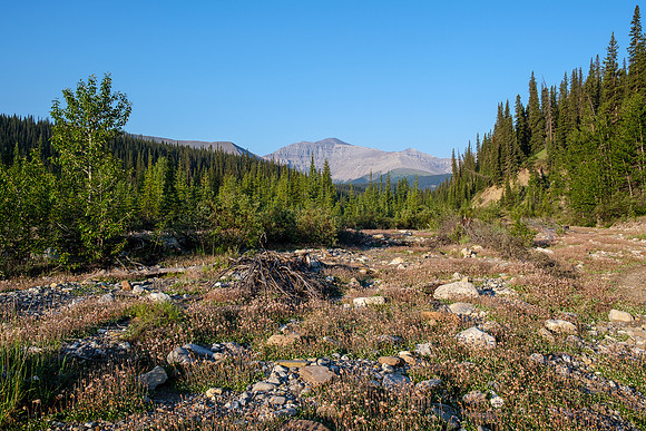 Hiking the Forbidden Creek Trail.