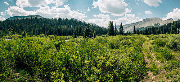Hiking the Forbidden Creek Trail back to Skeleton Creek.