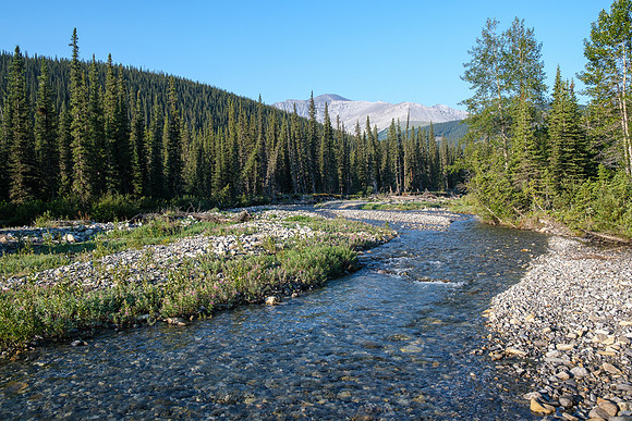 Hiking the Forbidden Creek Trail.