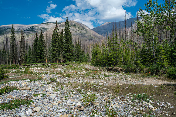 Hiking the Forbidden Creek Trail back to Skeleton Creek.