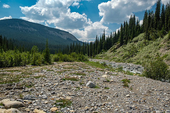 Hiking the Forbidden Creek Trail back to Skeleton Creek.