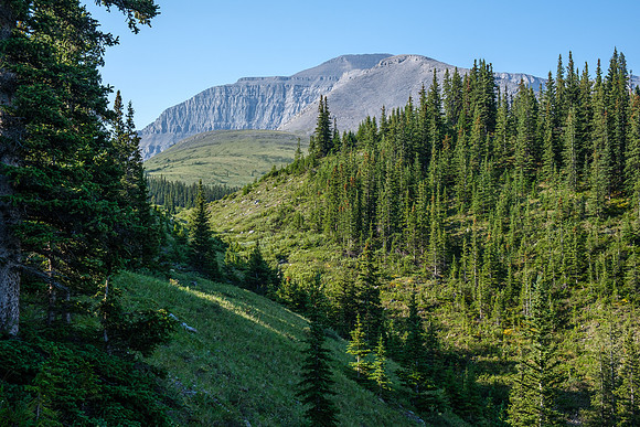 Hiking the lower north ridge of HH89.