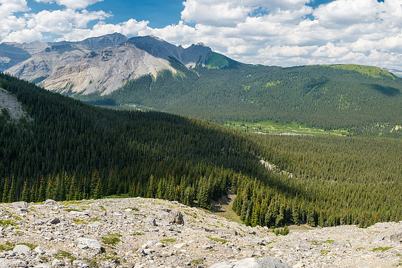 Descending the lower north ridge of HH89 back to Forbidden Creek.