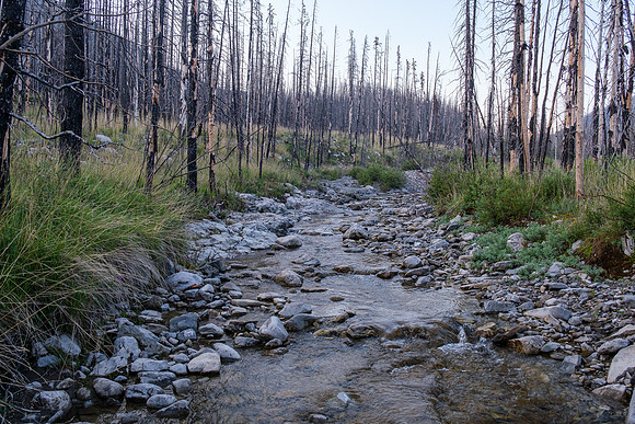 Crossing Skeleton Creek.