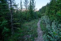 Hiking the Forbidden Creek Trail.