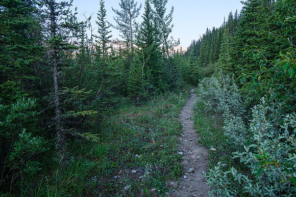 Hiking the Forbidden Creek Trail.