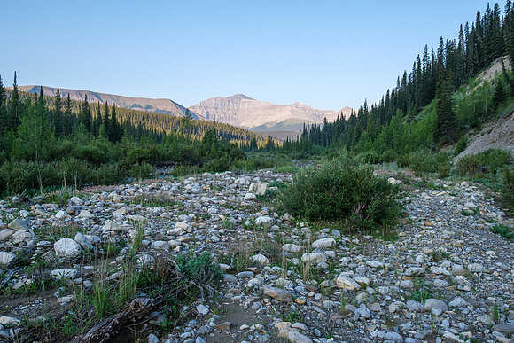 Hiking the Forbidden Creek Trail.