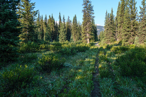 Hiking the Forbidden Creek Trail.