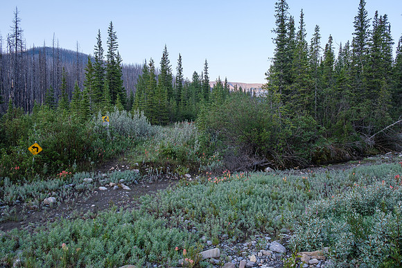 Hiking the Forbidden Creek Trail.