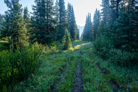 Hiking the Forbidden Creek Trail.