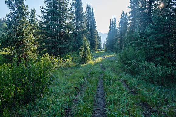 Hiking the Forbidden Creek Trail.