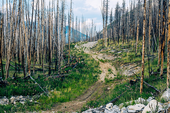 Biking back along the Skeleton Creek Trail.