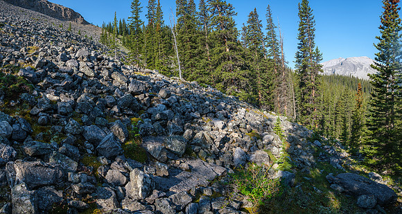 Bushwhacking to the north drainage of HH89.