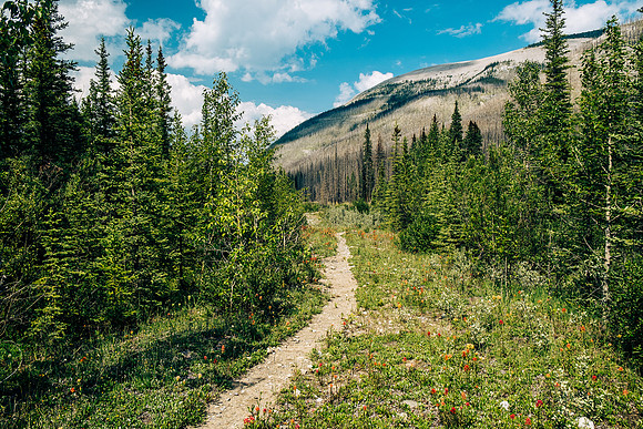 Hiking the Forbidden Creek Trail back to Skeleton Creek.