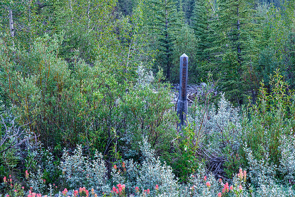 Hiking the Forbidden Creek Trail.