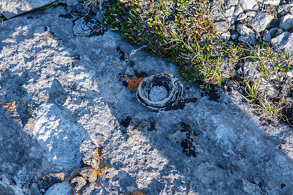 Hiking the lower north ridge of HH89.