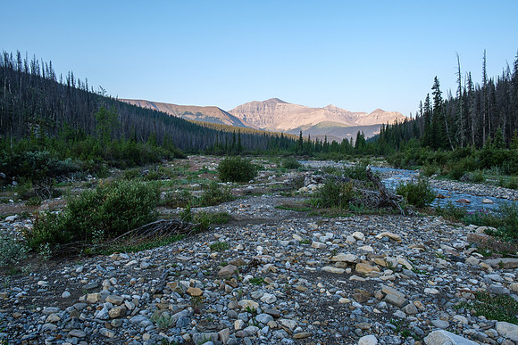 Hiking the Forbidden Creek Trail.