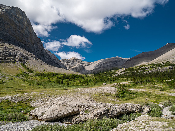 Exiting the NE trending valley along Scalp Creek between HH89 and Elch Peak.