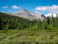 Hiking up the Scalp Creek trail / cutline.