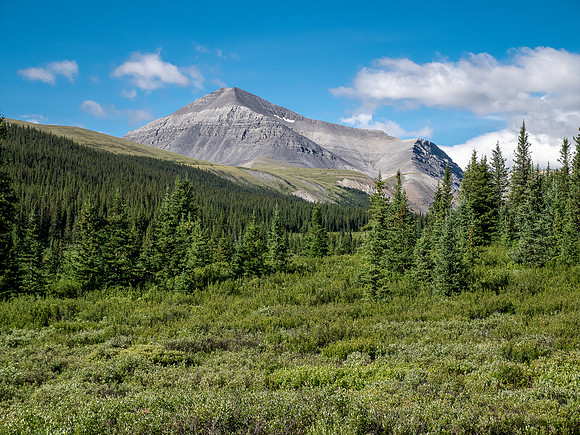 Hiking up the Scalp Creek trail / cutline.